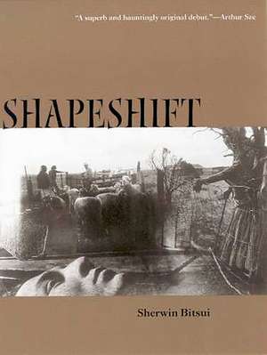 Shapeshift de Sherwin Bitsui