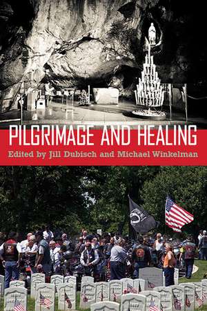 Pilgrimage and Healing de Jill Dubisch