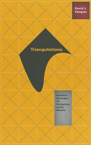 Triangulations: Narrative Strategies for Navigating Latino Identity de David J. Vázquez