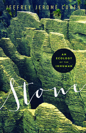 Stone: An Ecology of the Inhuman de Jeffrey Jerome Cohen