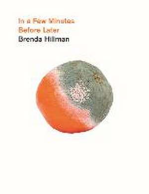 In a Few Minutes Before Later de Brenda Hillman