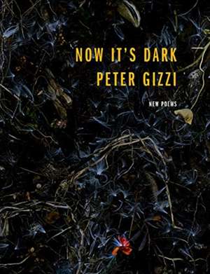 Now It's Dark de Peter Gizzi