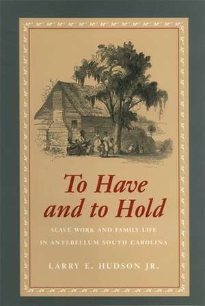 To Have and to Hold de Larry E. Hudson Jr