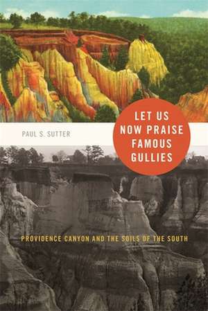 Let Us Now Praise Famous Gullies de Paul Sutter