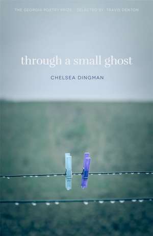 Through a Small Ghost de Chelsea Dingman