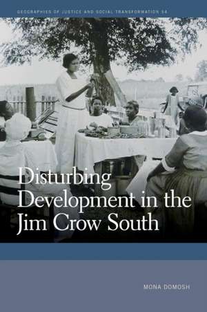 Disturbing Development in the Jim Crow South de Mona Domosh