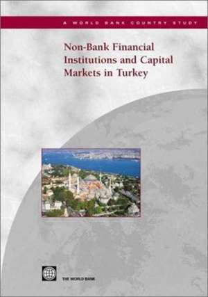 Non-Bank Financial Institutions and Capital Markets in Turkey de Lalit Raina