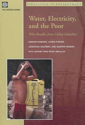 Water, Electricity, and the Poor: Who Benefits from Utility Subsidies? de Kristin Komives