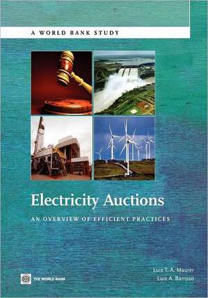 Electricity Auctions: An Overview of Efficient Practices de Luiz T. a. Maurer