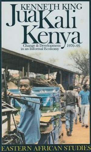 Jua Kali Kenya: Change and Development in an Informal Economy, 1970–1995 de Kenneth King