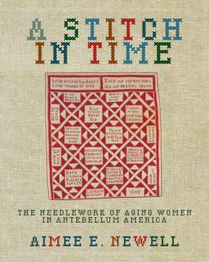 A Stitch in Time: The Needlework of Aging Women in Antebellum America de Aimee E. Newell
