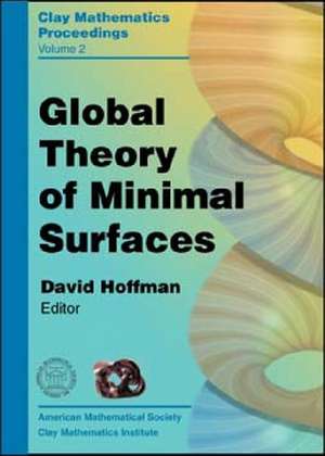 Global Theory of Minimal Surfaces de David Hoffman