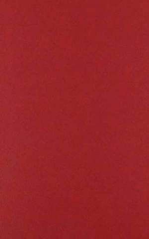 Fevered Measures de John Mckiernan-González