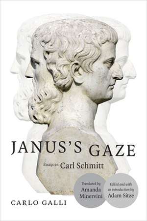 Janus`s Gaze – Essays on Carl Schmitt de Carlo Galli