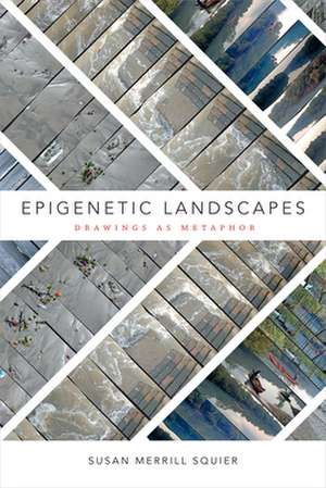 Epigenetic Landscapes – Drawings as Metaphor de Susan Merrill Squier