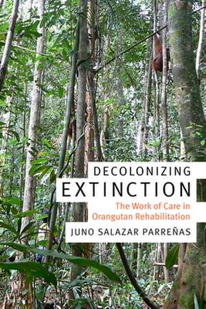 Decolonizing Extinction – The Work of Care in Orangutan Rehabilitation de Juno Salazar Parreñas