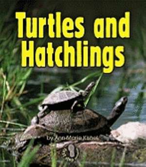 Turtles and Hatchlings de Ann-Marie Kishel