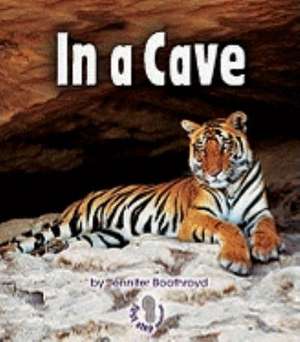 In a Cave de Jennifer Boothroyd