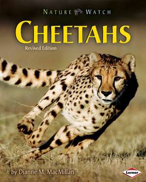 Cheetahs de Dianne M. MacMillan