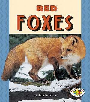 Red Foxes de Michelle Levine