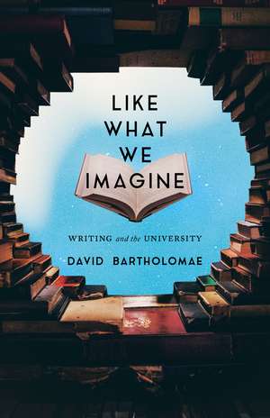 Like What We Imagine: Writing and the University de David Bartholomae