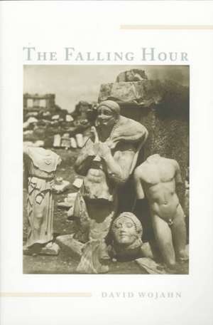 The Falling Hour de David Wojahn