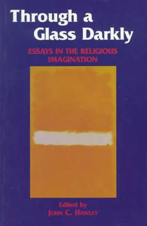 Through a Glass Darkly – Essays in the Religious Imagination de John Hawley