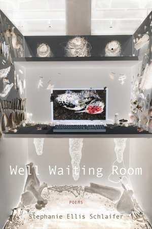 Well Waiting Room de Stephanie Ellis Schlaifer