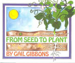 From Seed to Plant de Gail Gibbons