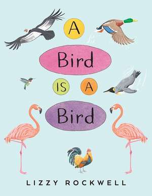 A Bird Is a Bird de Lizzy Rockwell