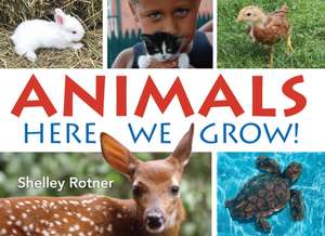 Animals! de Shelley Rotner