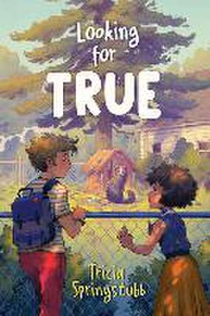 Looking for True de Tricia Springstubb