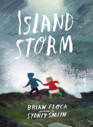 Island Storm de Brian Floca