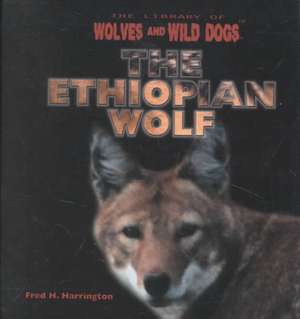 Ethiopian Wolf de Fred H. Harrington