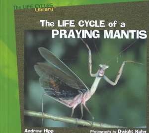 The Life Cycles of a Praying Mantis de Andrew Hipp