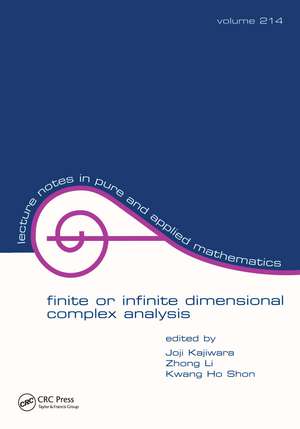 Finite or Infinite Dimensional Complex Analysis de Joji Kajiwara