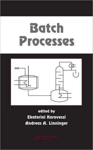 Batch Processes de Ekaterini Korovessi