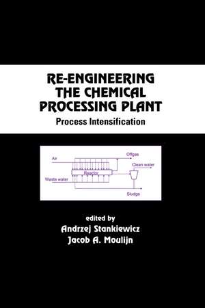 Re-Engineering the Chemical Processing Plant: Process Intensification de Andrzej Stankiewicz