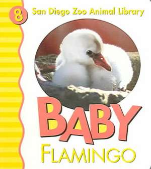 Baby Flamingo San Diego Zoo: 100 Reflections on the Ways God's Love Keeps Us Growing [With Journal] de Patricia A. Pingry