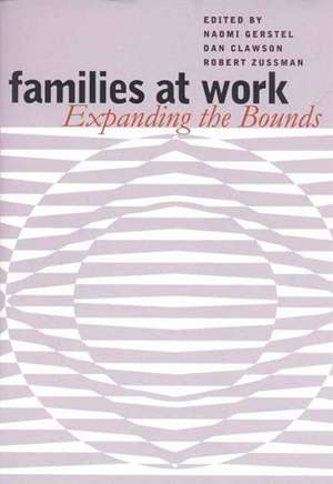 Families at Work: John William Miller and the Crises of Modernity de Naomi Gerstel