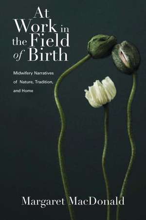 At Work in the Field of Birth: Midwfery Narratives of Nature, Tradition, and Home de Margaret E. MacDonald