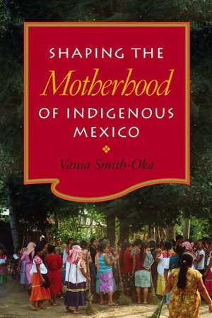 Shaping the Motherhood of Indigenous Mexico de Vania Smith-Oka