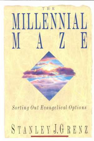 The Millennial Maze de Stanley J. Grenz