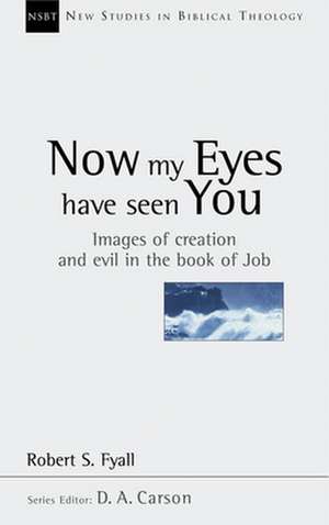 Now My Eyes Have Seen You: Justice, Mercy and Legal Institutions de Robert Fyall