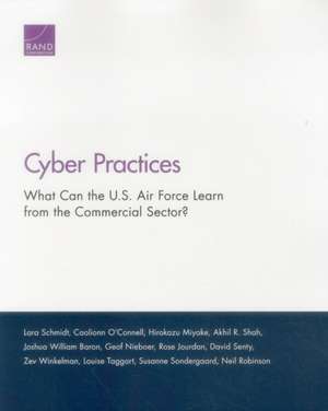 Cyber Practices de Lara Schmidt