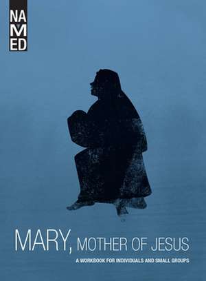 Named: A Workbook for Individuals and Small Groups de Beacon Hill Press of Kansas City