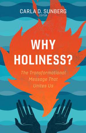 Why Holiness? de Carla D. Sunberg