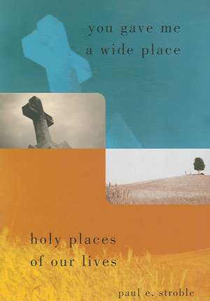 You Gave Me a Wide Place: Holy Places of Our Lives de Paul E. Stroble