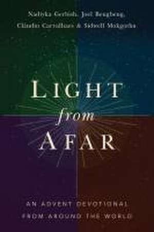 Light from Afar de Nadiyka Gerbish