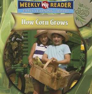 How Corn Grows de Joanne Mattern